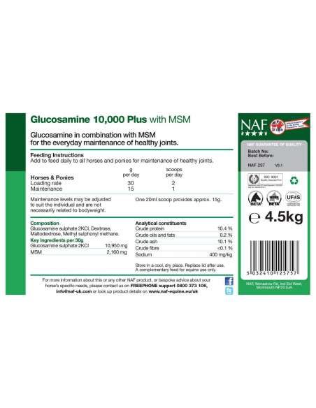 GLUCOSAMINE 10000PLUS + MSM NAF